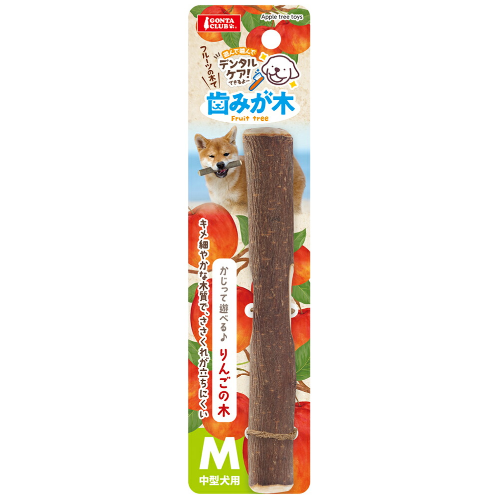 マルカン　歯みが木りんごの木　Ｍ　１本　関東当日便
