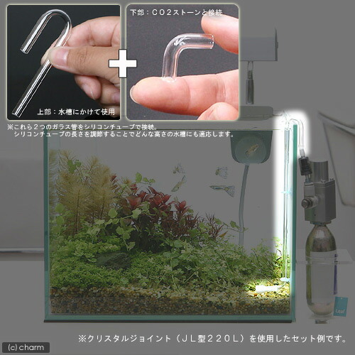 楽天市場 ｃｏ２拡散器セット ｃｏ２ストーン ヌーボ クリスタルジョイント ｊ型８０ｍｍ ｌ型小 他 ｃｏ２ボンベのおまけ付き 関東当日便 Charm 楽天市場店