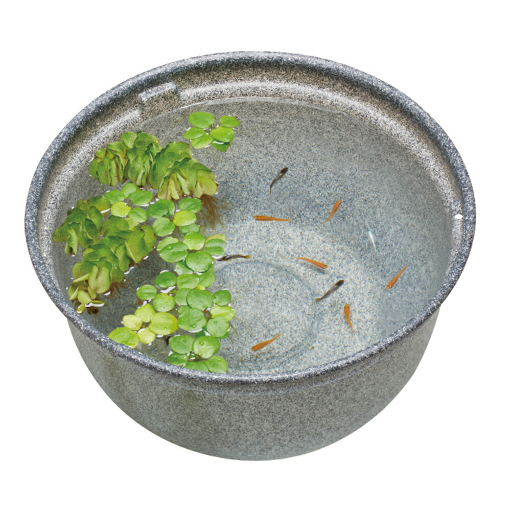 オリジナル スドー メダカの角小鉢 みかげ 御影 関東当日便