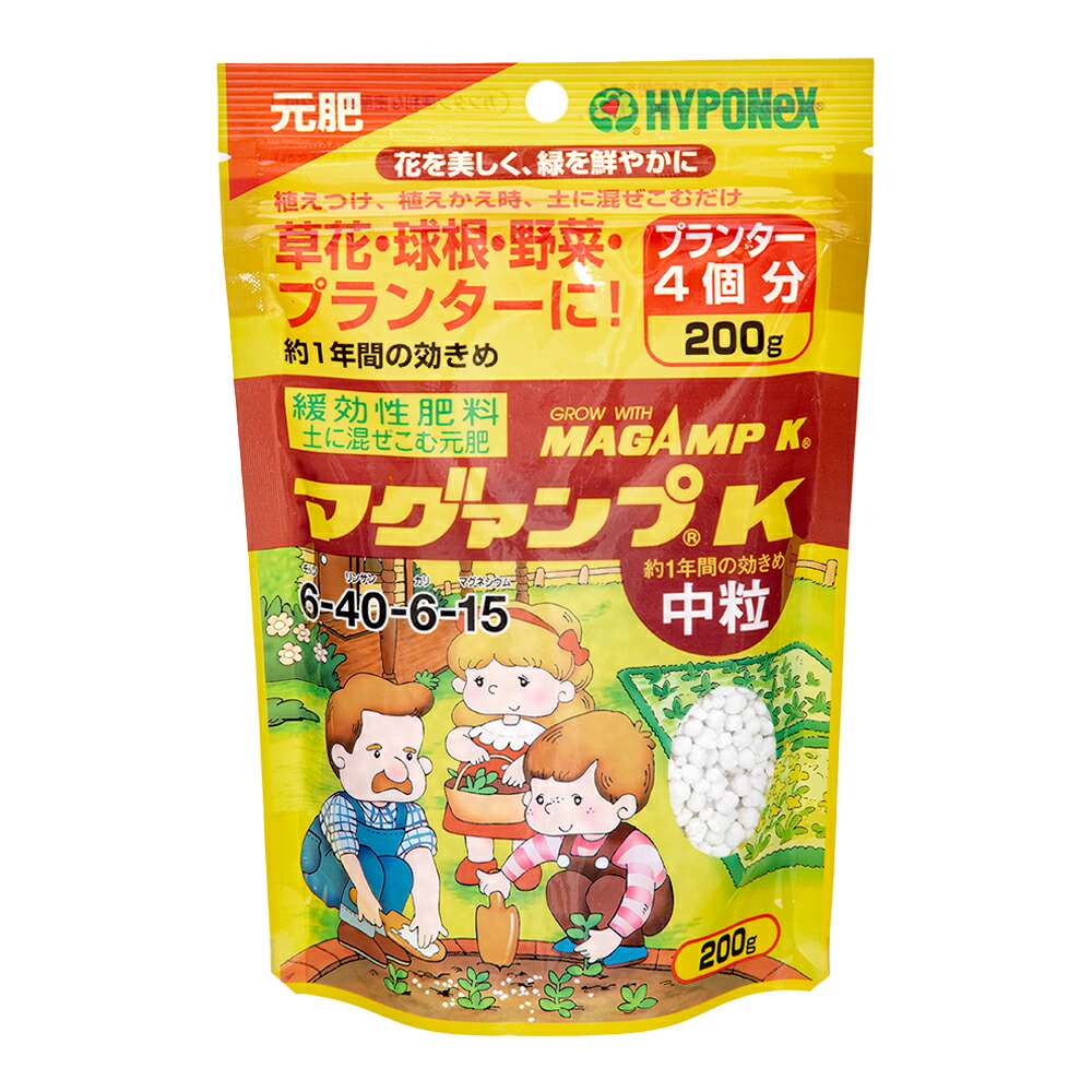 組織培養　ブセファランドラ　　◉クダガン　２カップ　◉ゴースト　１カップ Amazon.co.jp: （水草）組織培養 ブセファランドラsp