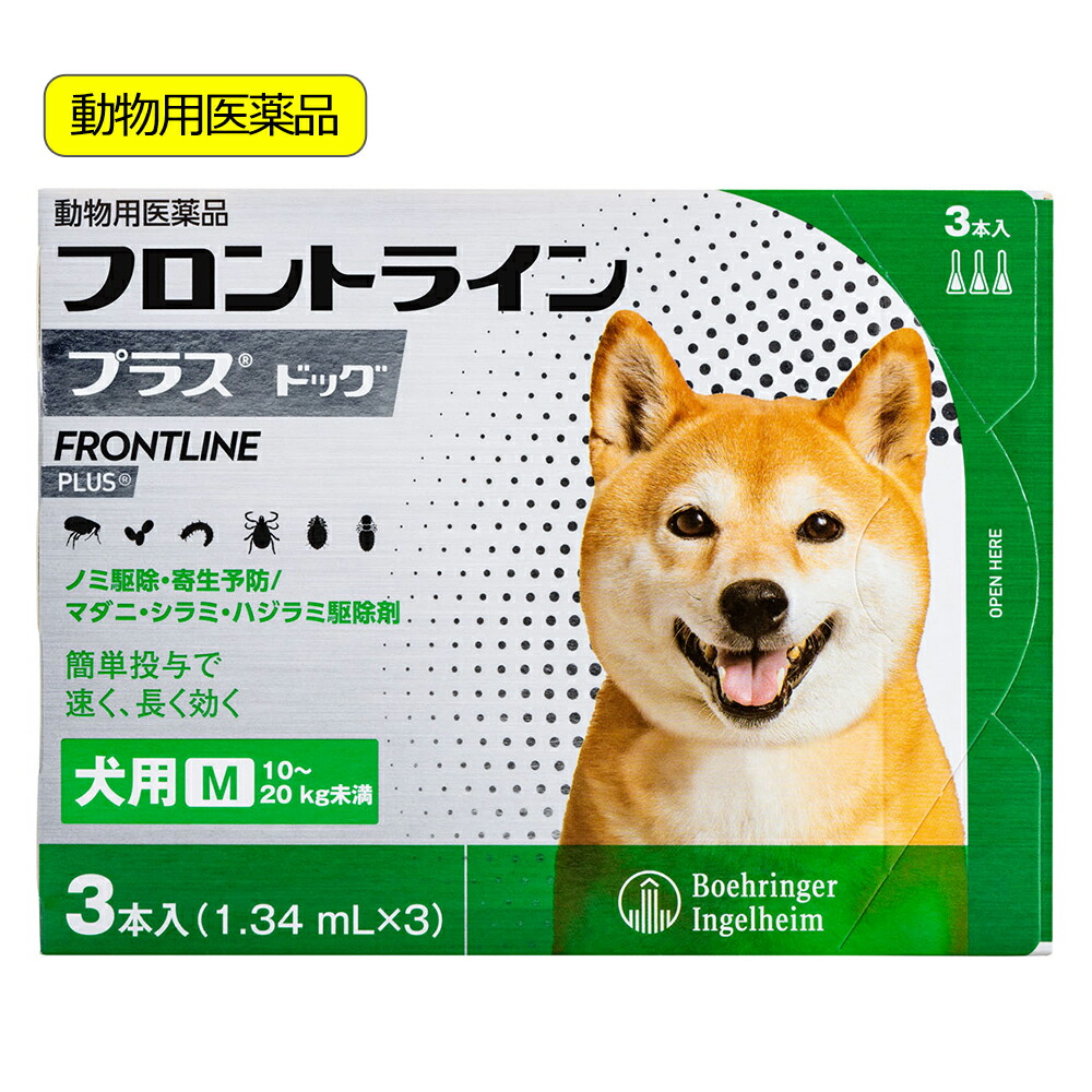 今日このごろ執り行なう中・書き著す中の社会的運動・引き換え証案内書