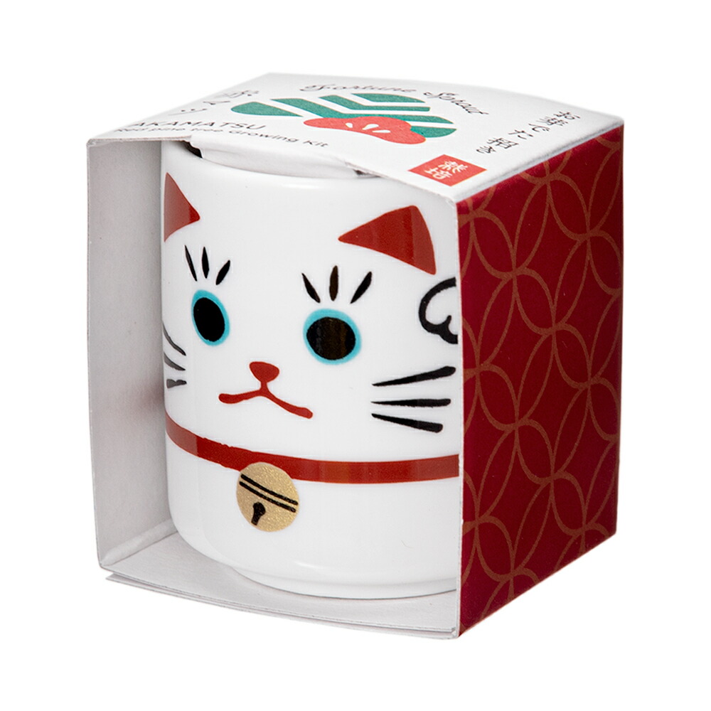 新品 ペロポン ミケネコ ワイルド 種はワイルドストロベリー Peropon