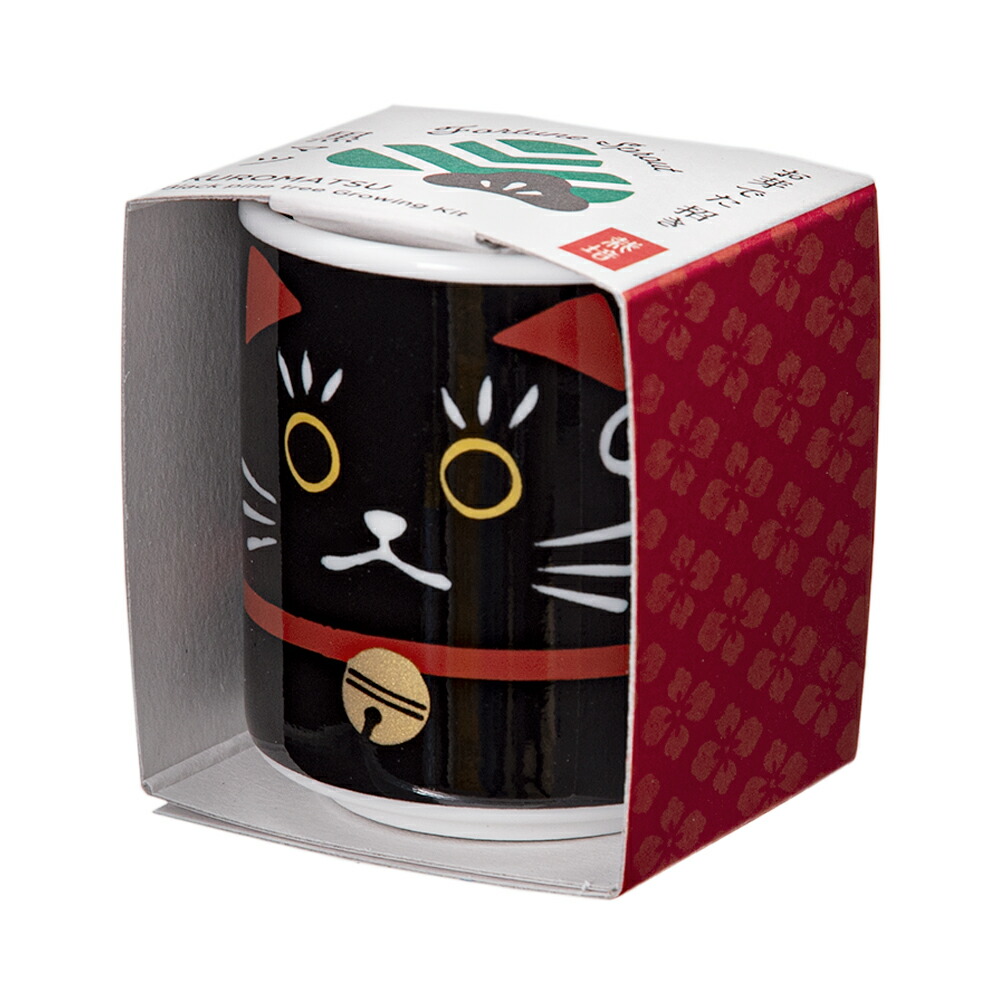 楽天市場】聖新陶芸 Peropon キャット ミケネコ ワイルド