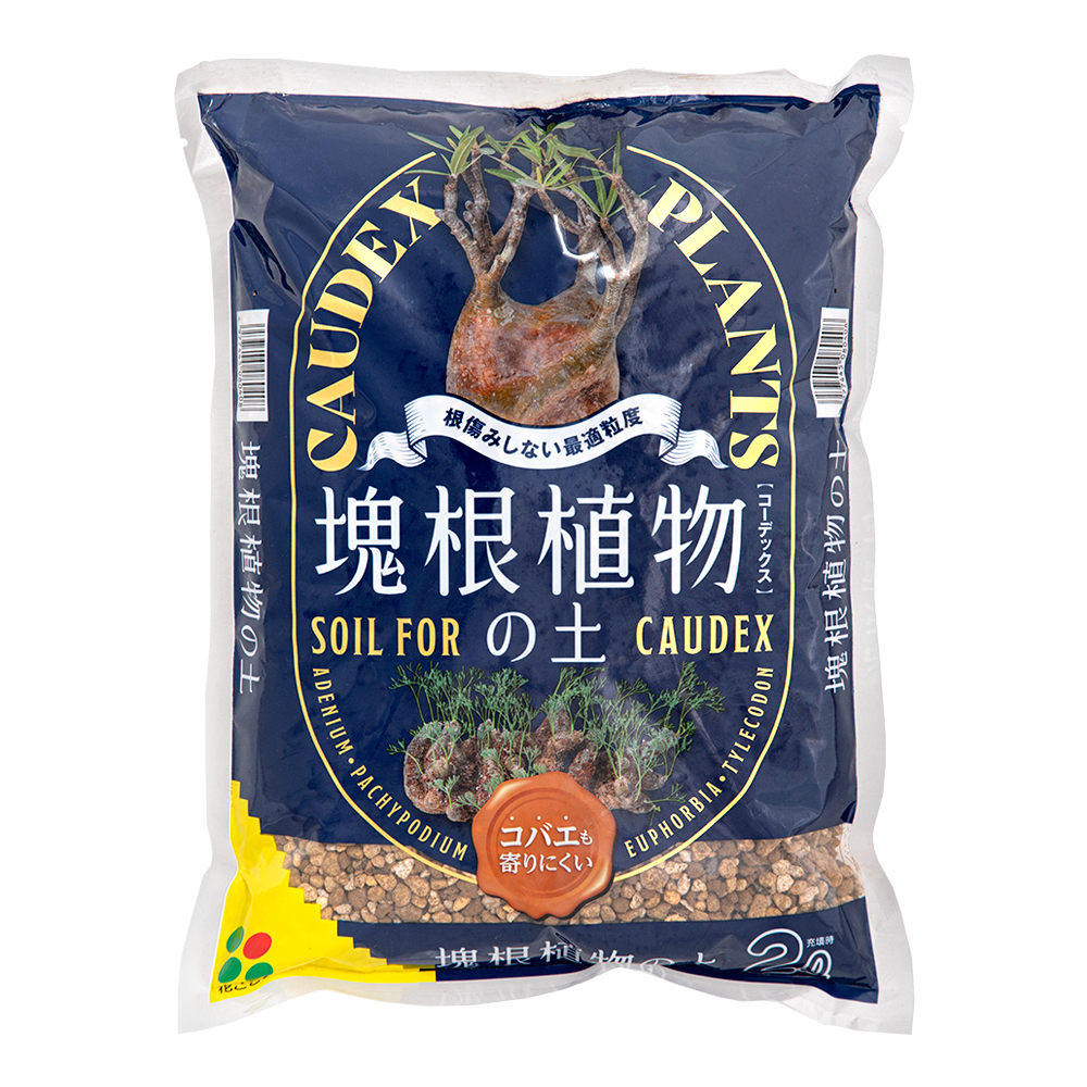 【まとめ売り】INDOOR JUNGLE インドアジャングル　1.2.3.4 楽天市場】INDOOR JUNGLE No.06 : 書泉オンライン楽天市場店