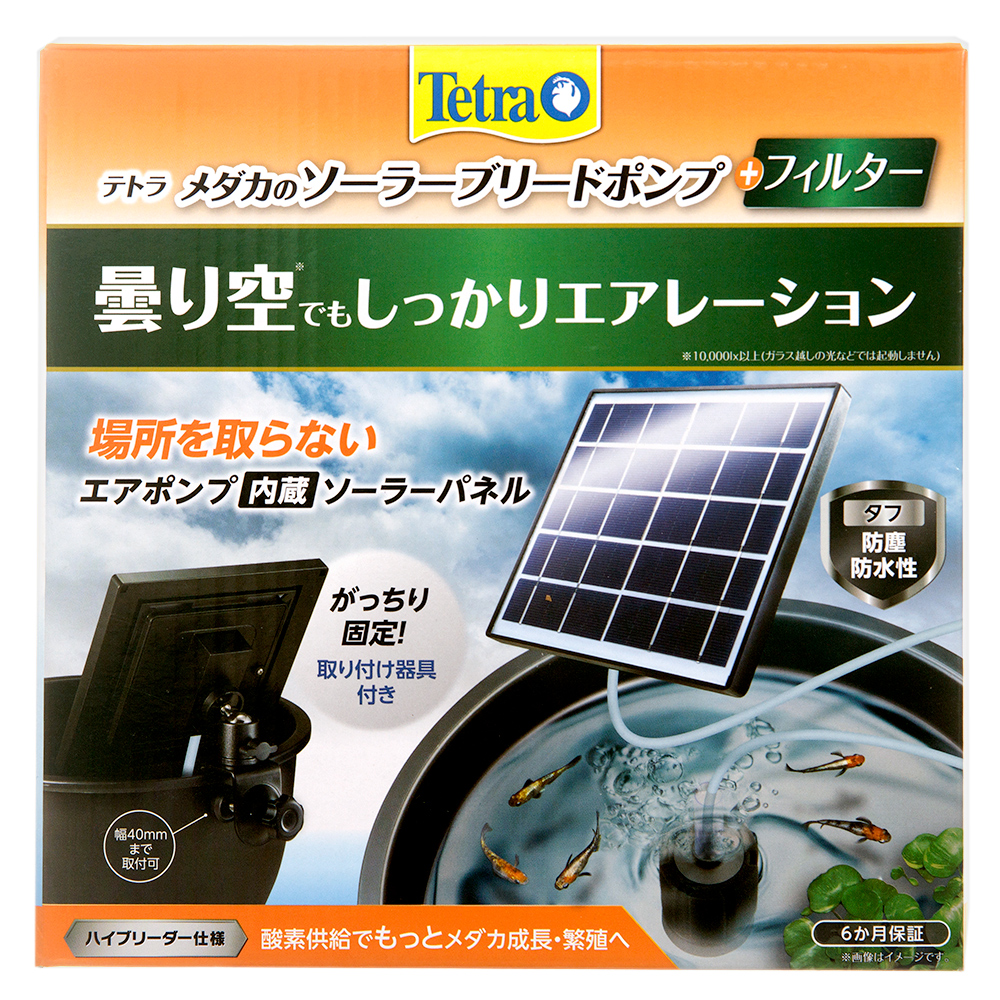テトラ　ソーラーブリードポンプ　バブルガードリング　メダカ　エアーストーン 楽天市場】テトラ メダカのバブルガードリング 関東当日便