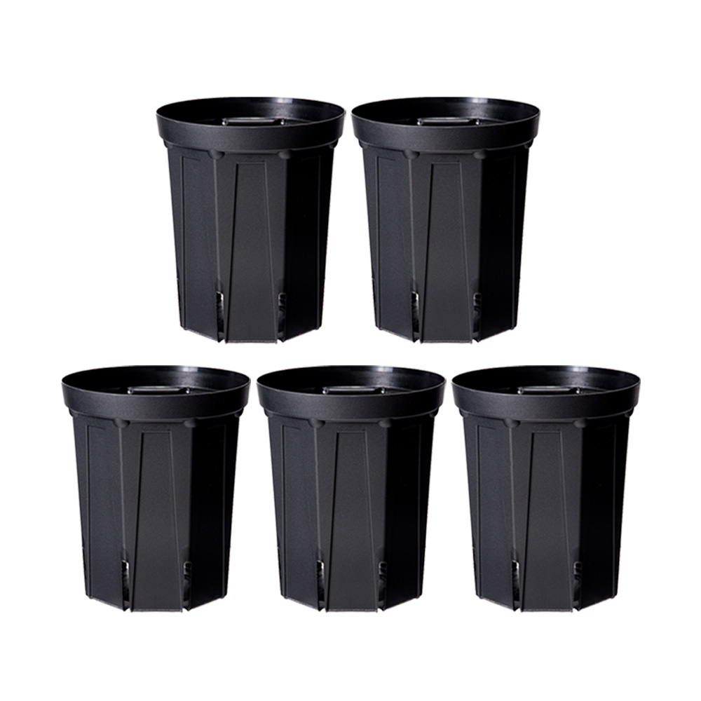 モンステラ・ポトス choco 楽天市場】支柱 プラ支柱 細目 50cm モンステラ ポトス 関東