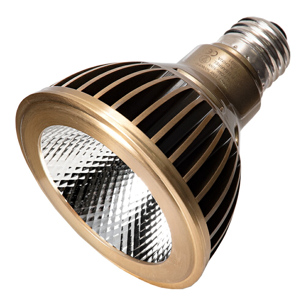 楽天市場】ボルクスジャパン Grassy LeDio RX121s