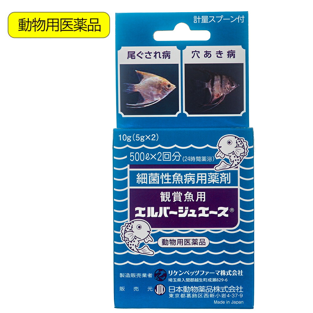 差し当たって執り行なう中・ふり出し中の社会的運動・クーポン券知らせ