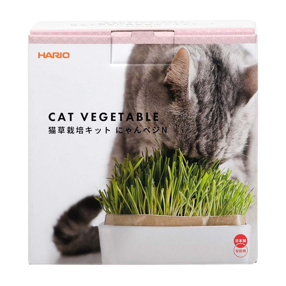 キャティーマン　おうちで育てる　猫の生野菜　２回分　猫草　ドギーマン　関東当日便