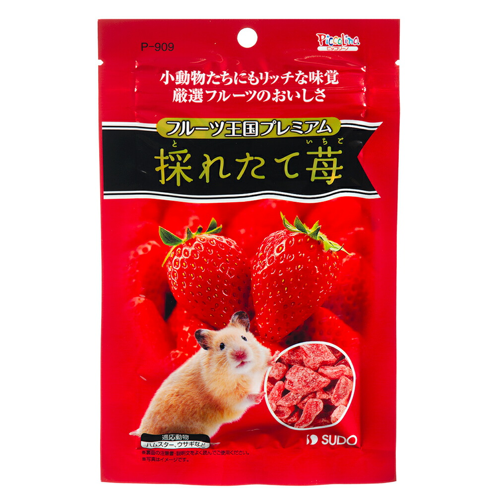 楽天市場】マルカン 果実のおたより いちご １０ｇ 無添加 小動物 おやつ うさぎ 関東当日便 : charm 楽天市場店