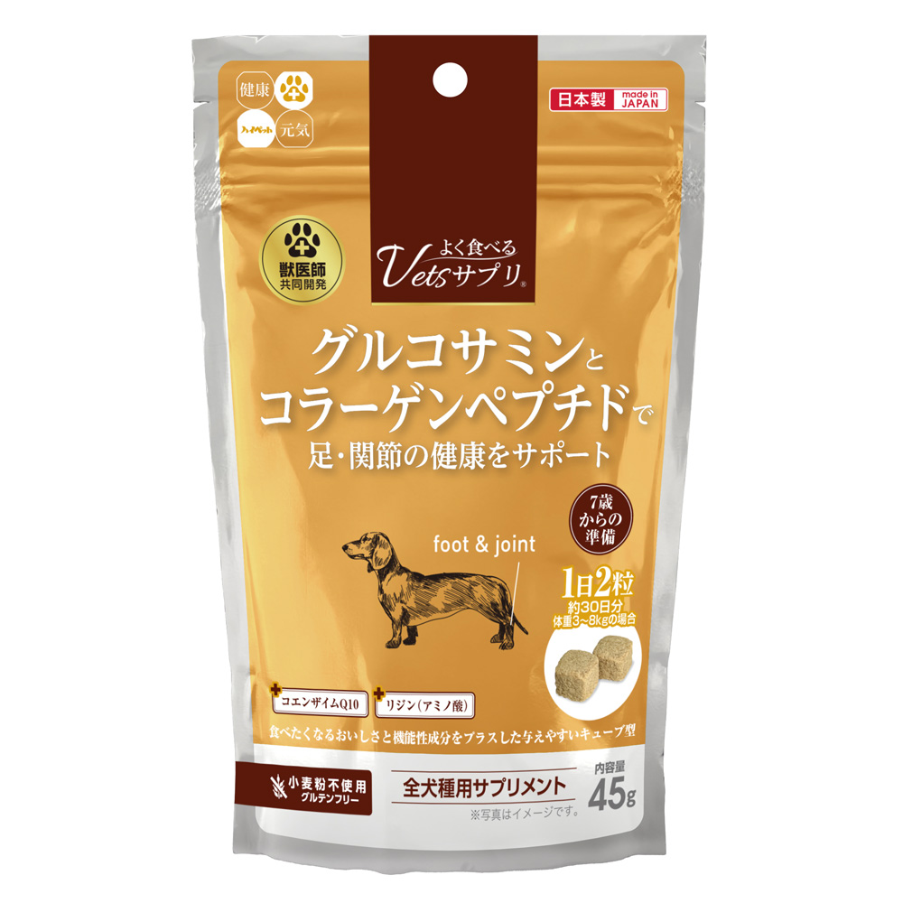 QIXハイパーアミノE ６００ｇ（動物用栄養補助食品）【Petience、馬