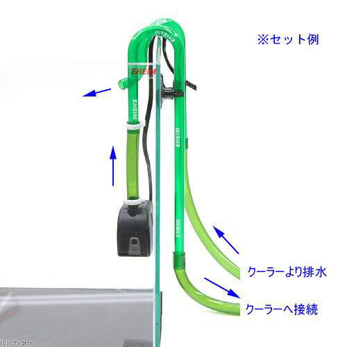 60Hz 水槽用クーラー GEX クールウェイ 沖縄別途送料 関東当日