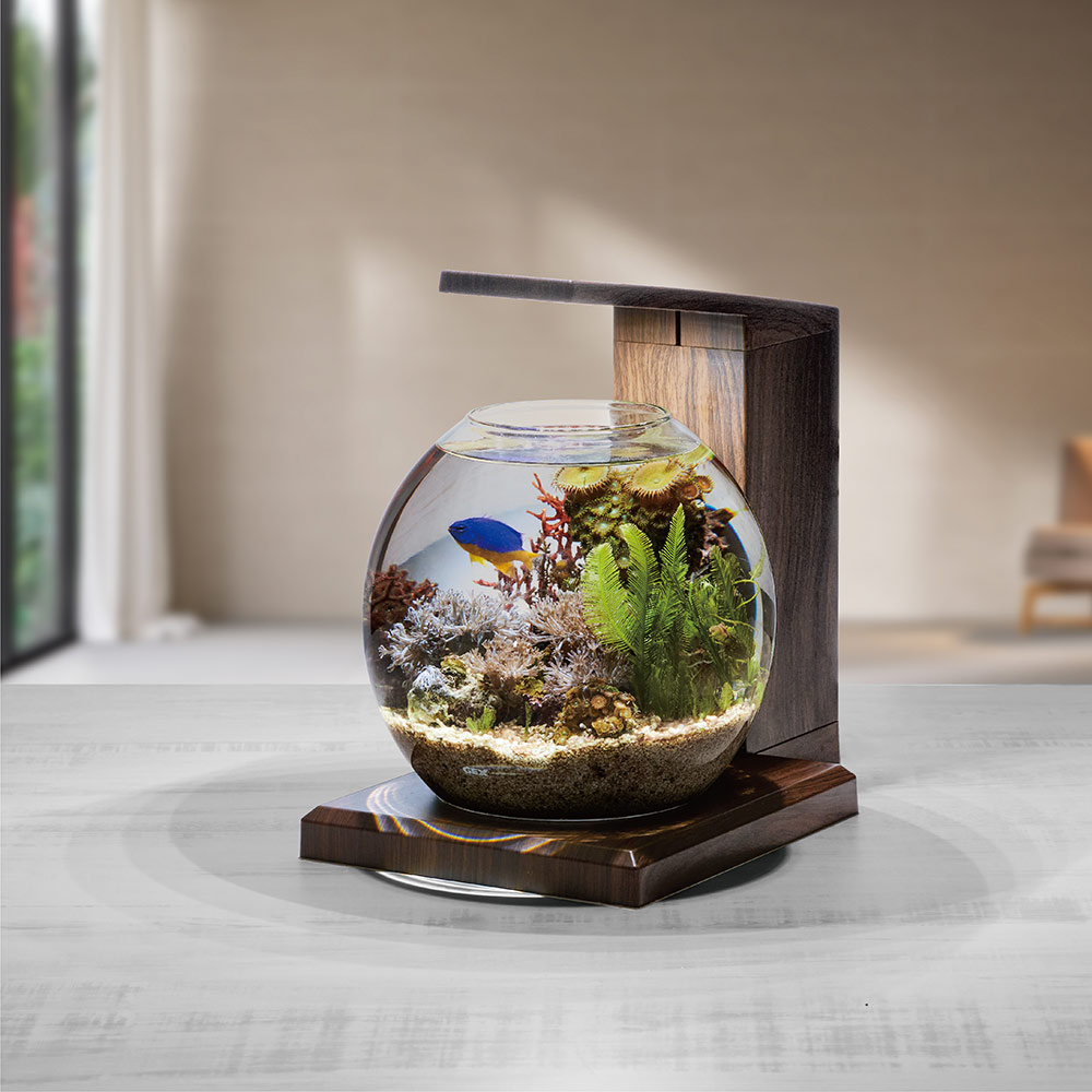 GEX 水槽セット グラスアクア PERCO B−Dark Wood 水槽 小型水槽