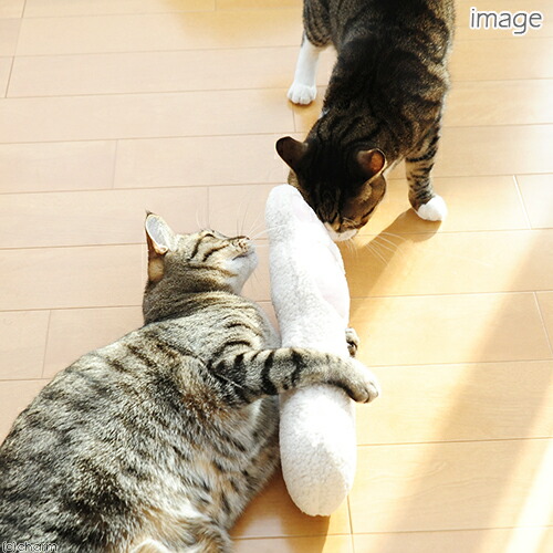 楽天市場】けって遊べるニャンコの手 白猫 猫用おもちゃ ハンドメイド 関東当日便：Charm 楽天市場店