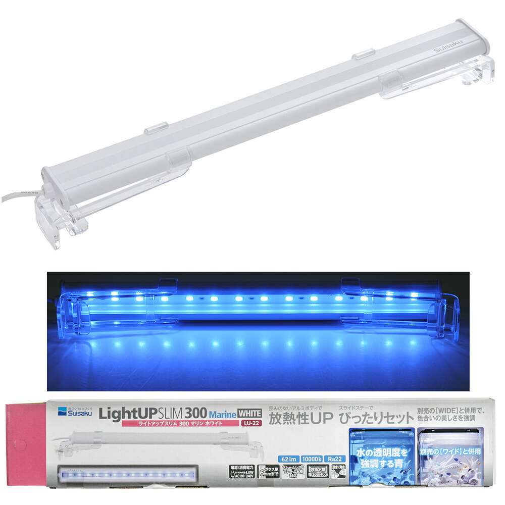 楽天市場】アクロ TRIANGLE LED MARINE 300