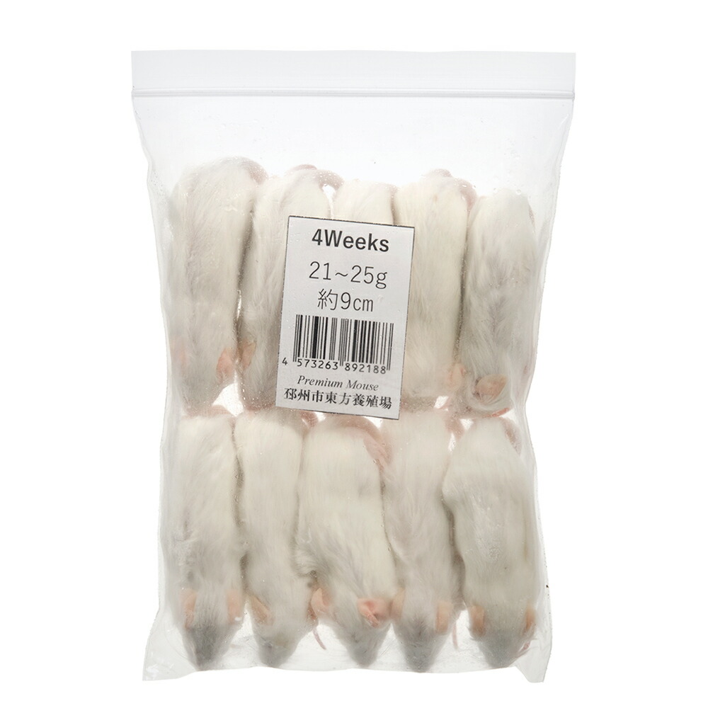 yuuuuka　送料無料 冷凍マウスホッパー100匹 冷凍】冷凍マウス ホッパー Lサイズ（約18g）10匹パック（T2