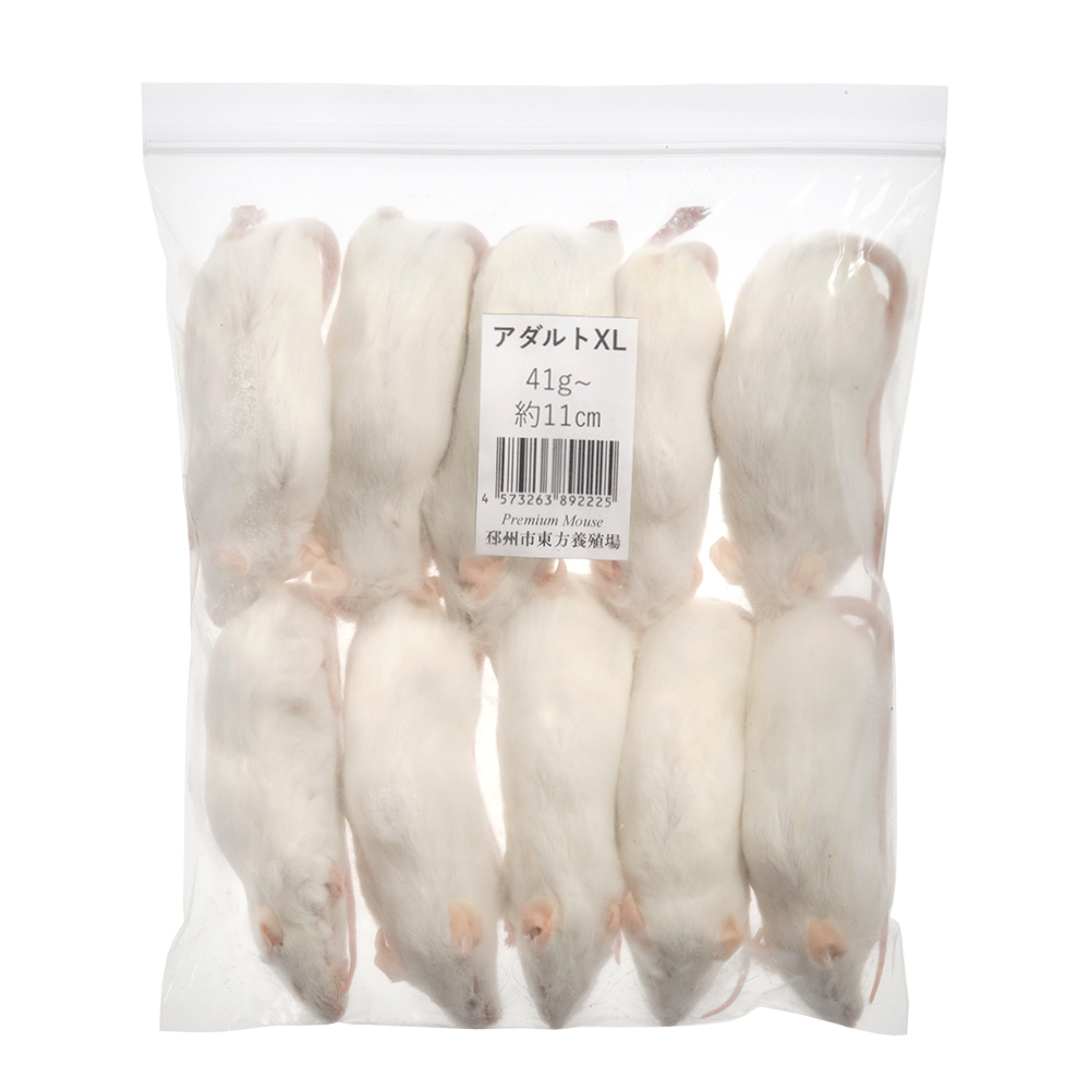 楽天市場】冷凍☆アダルトLL Rat240 1匹パック 別途