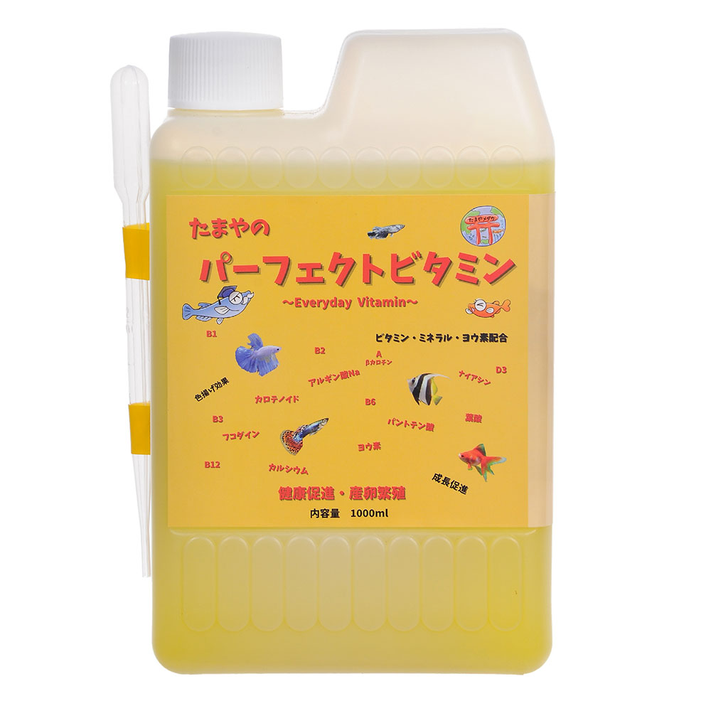 楽天市場】たまやメダカ たまやの黄色い乳酸菌 ５００ｍｌ ビタミン入り めだか 針子 日照不足 餌 エサ ＰＳＢ 液体フード 水質調整 メダカの餌  関東当日便 : charm 楽天市場店