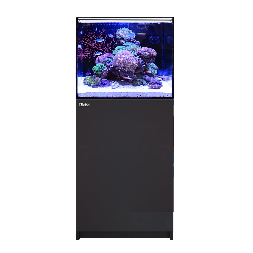 楽天市場】（大型）レッドシー REEFER 170 DX