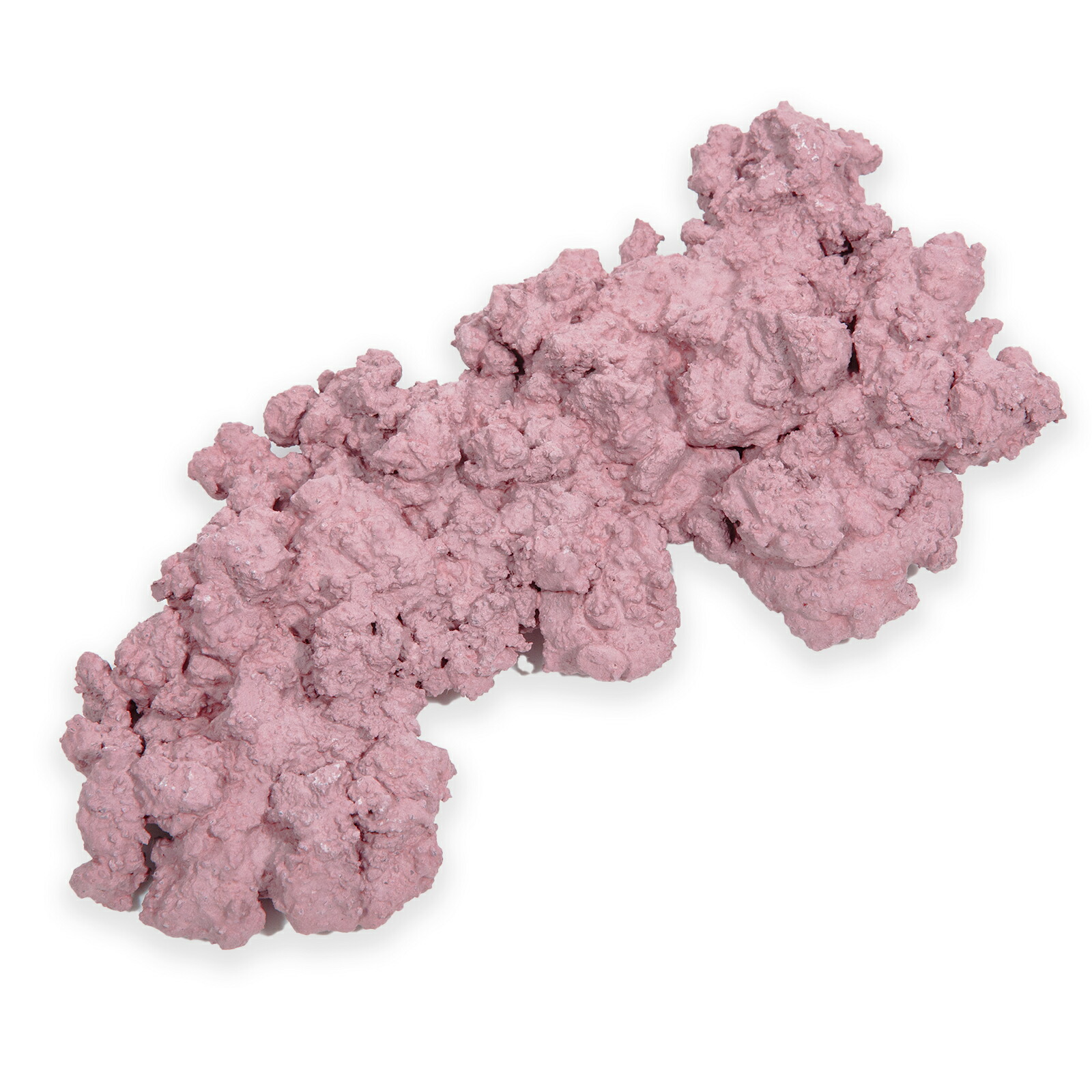 楽天市場】送料無料 ボルクスジャパン マンティススキマー 120