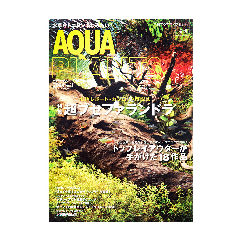 楽天市場】爬虫類・両生類情報誌 隔月刊 クリーパー NO