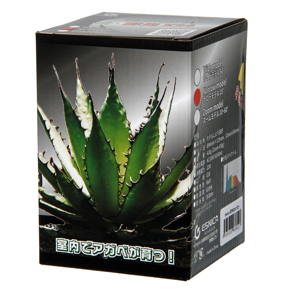 ライト・照明器具 ZOOX TropicalRAYS レイズ｜ZOOX｜MMC企画 レッドシー事業部