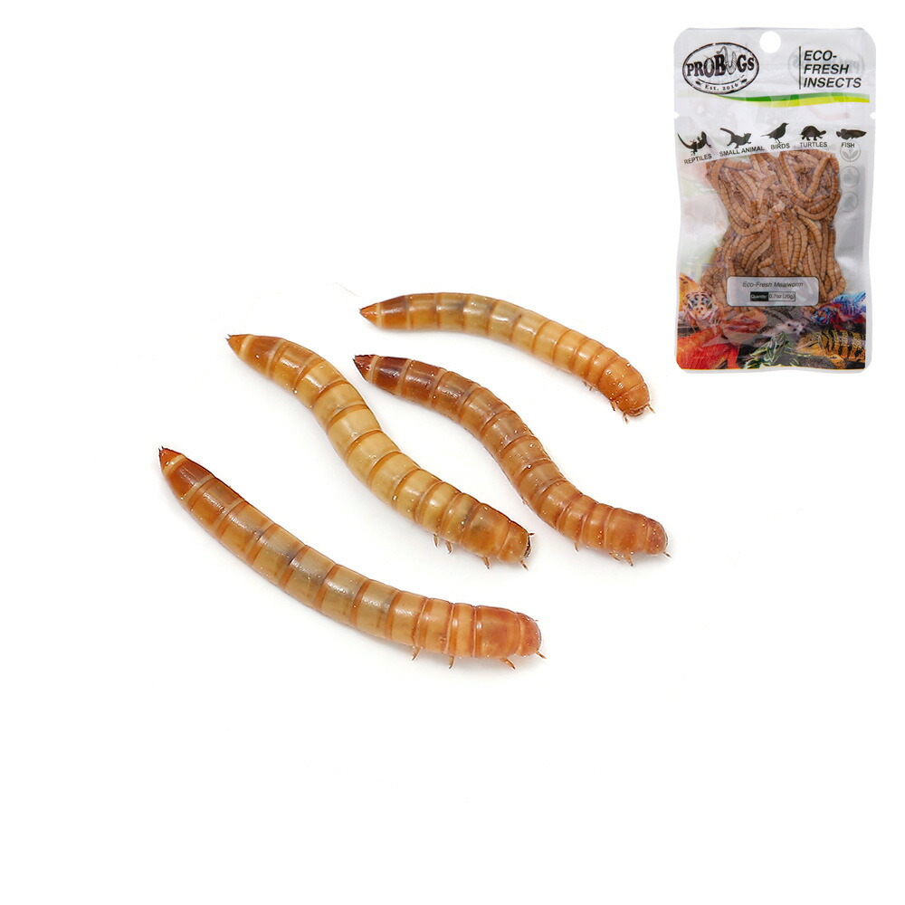 ナチュラルペットフーズ NPF ミルワーム35g（生タイプミルワーム
