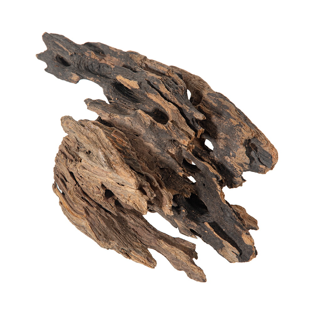 楽天市場】形状お任せ 煮込み済み ハニカムウッド Sサイズ（15