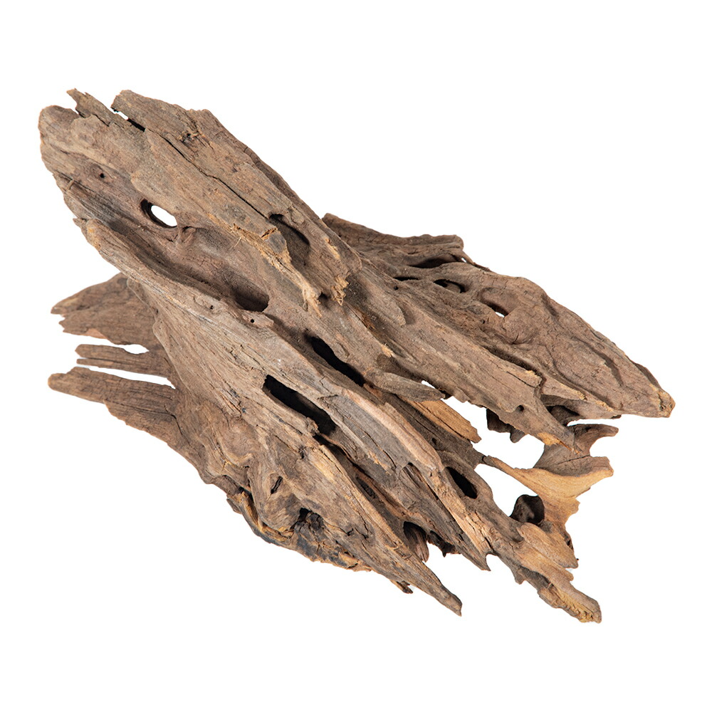 楽天市場】形状お任せ 煮込み済み ハニカムウッド Lサイズ（25