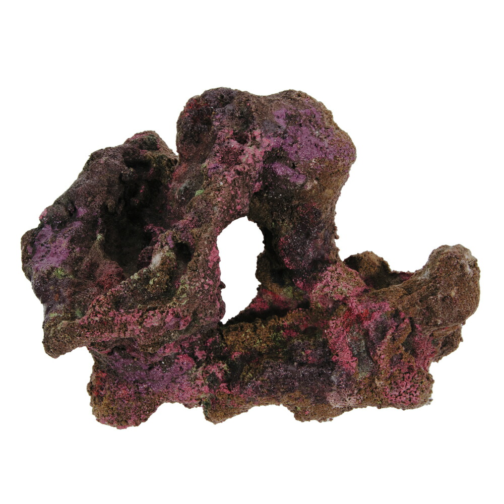 楽天市場】ライブロックモジュール A アクアリウム 擬岩 関東当日便