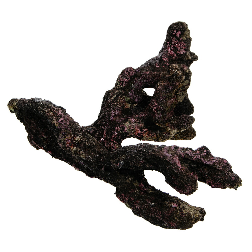 楽天市場】ライブロックモジュール A アクアリウム 擬岩 関東当日便