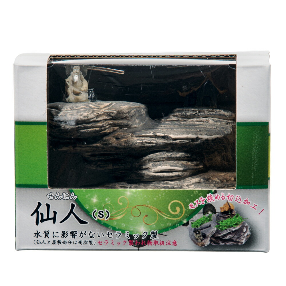 アズー　仙人　Ｓ　関東当日便