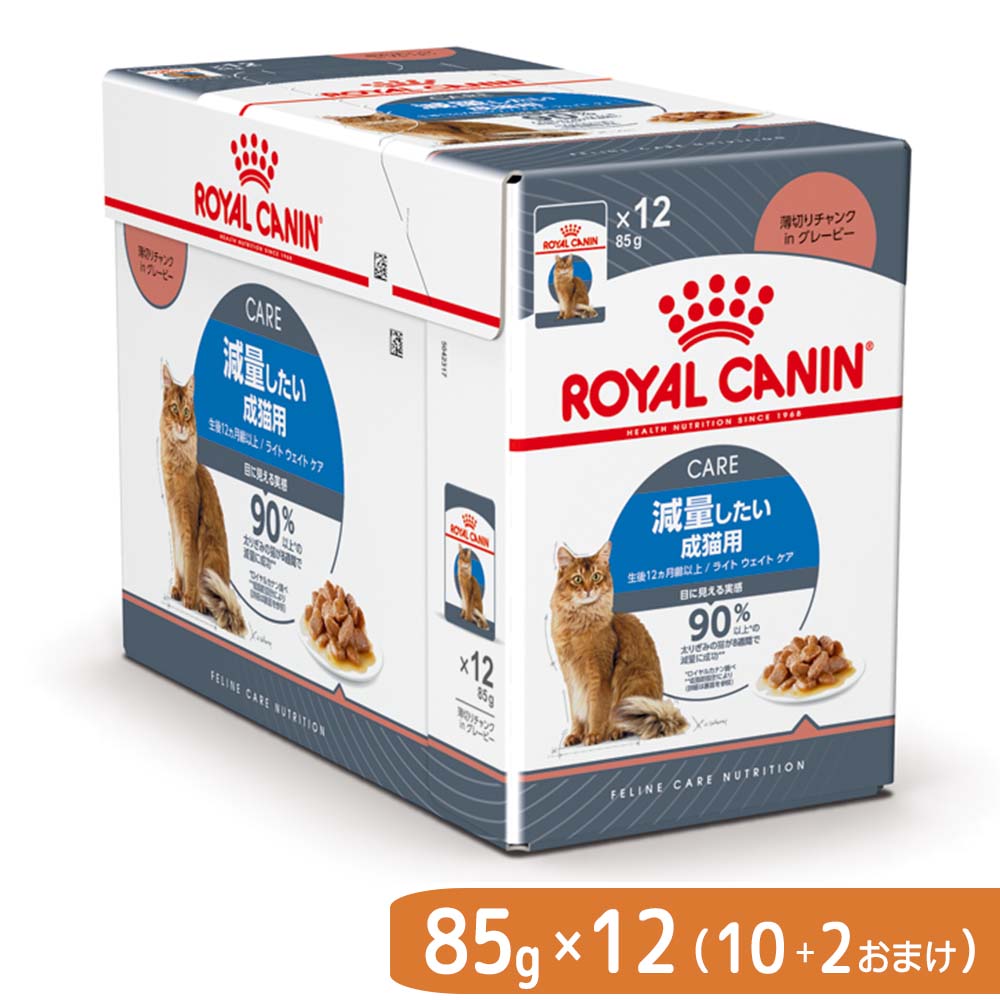 ロイヤルカナン メインクーン 成猫用 2kg×6袋 ロイヤルカナン メインクーン 成猫用 2kg×6袋 ロイヤルカナン