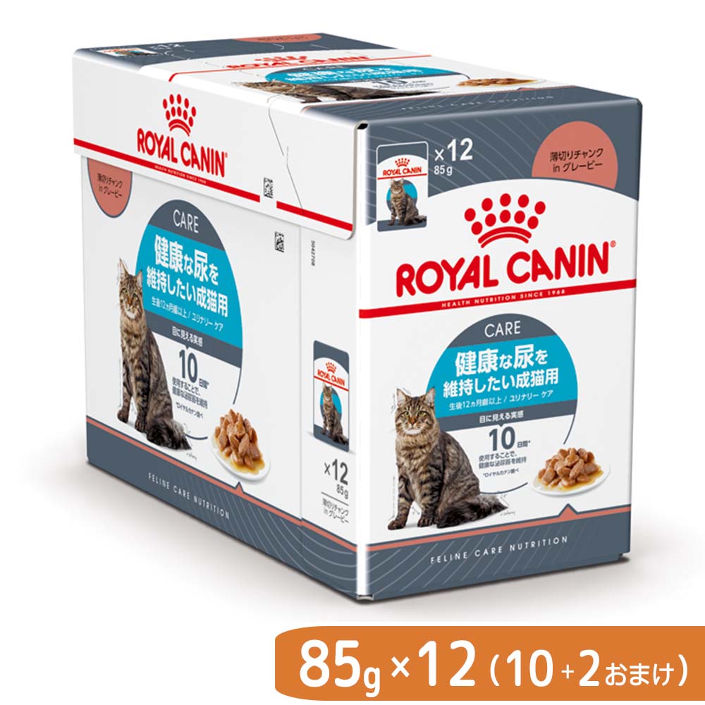 楽天市場】ロイヤルカナン 猫 メインクーン 成猫用 生後12ヵ月