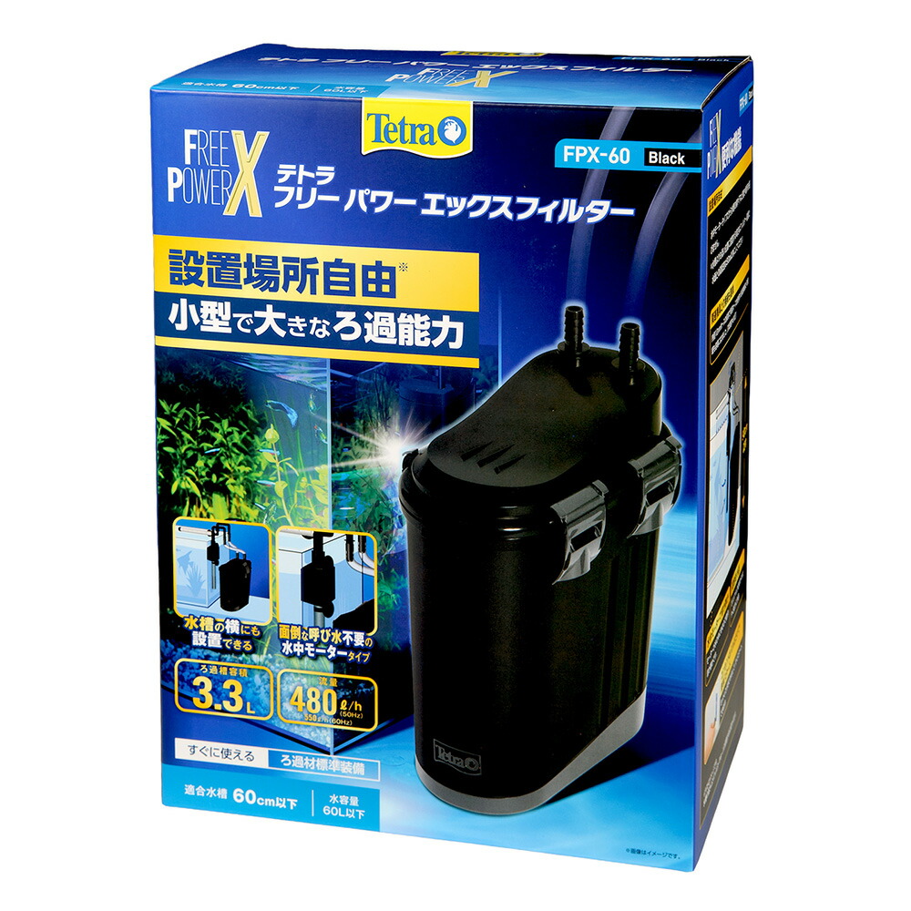 FXXX テトラ ガリテトラ - BONHEUR ONLINE SHOP