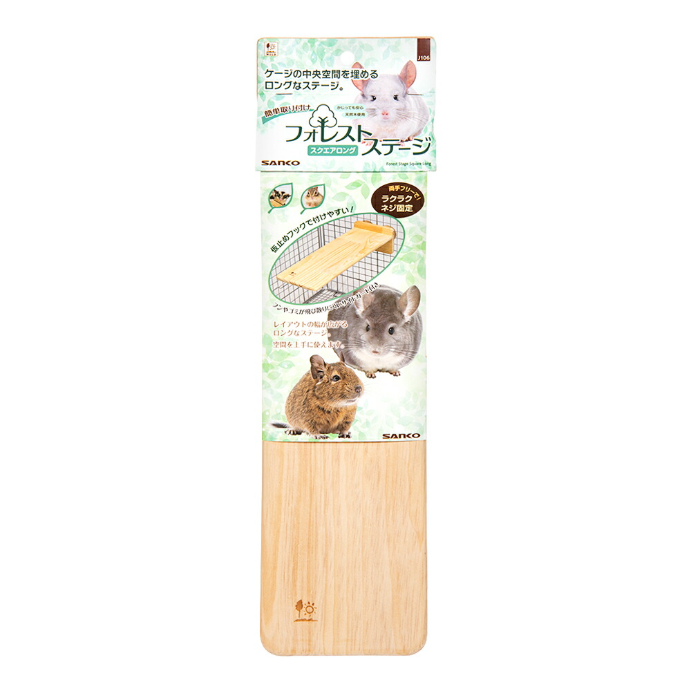 楽天市場】【2／15限定】当選確率2分の1！1等最大100