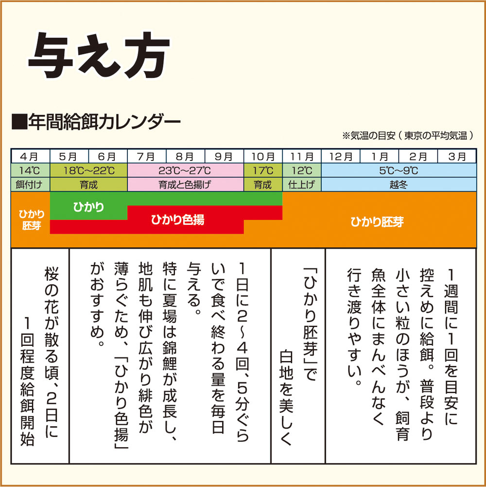 楽天市場 キョーリン ひかり胚芽浮 小粒 350g 関東当日便 Charm 楽天市場店