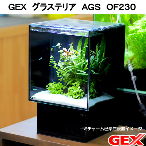 楽天市場 ｇｅｘ 水槽セット グラステリア ａｇｓ ｏｆ２３０ お一人様５点限り 沖縄別途送料 関東当日便 Charm 楽天市場店