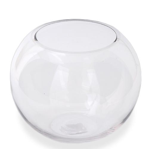 楽天市場】GLASIA 水上育成用 300（30×30×10cm