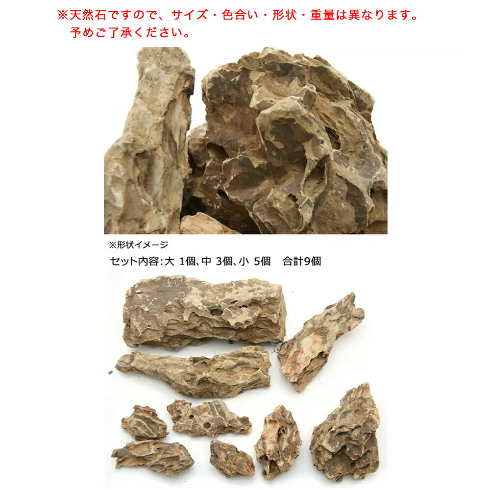 楽天市場 カミハタ 気孔石 レイアウトセット 形状お任せ 関東当日便 Charm 楽天市場店