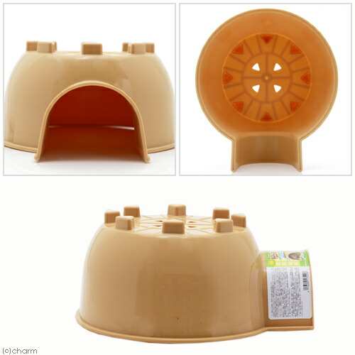 楽天市場 三晃商会 ｓａｎｋｏ ドームハウス ｌ 関東当日便 Charm 楽天市場店