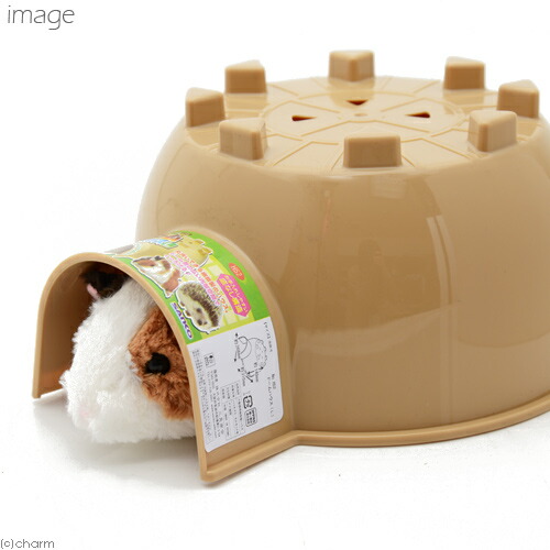 楽天市場 三晃商会 sanko ドームハウス l 関東当日便 Charm 楽天市場店 楽天市場 三晃商会 sanko ドームハウス l 関東当日便 Charm 楽天市場店