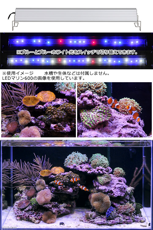 楽天市場 アクロ ｔｒｉａｎｇｌｅ ｌｅｄ ｍａｒｉｎｅ ６００ ２００００ｋ ａｑｕｌｌｏ ｓｅｒｉｅｓ 沖縄別途送料 関東当日便 Charm 楽天市場店