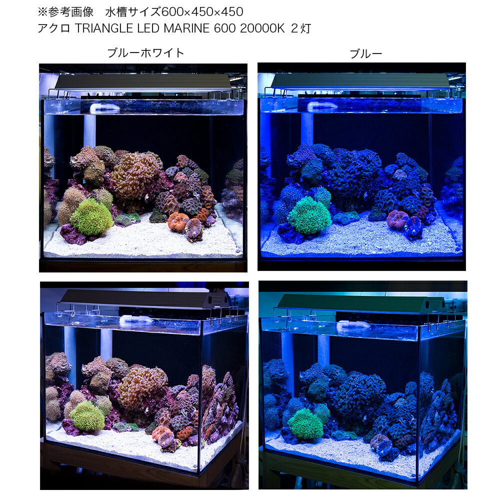 HYDRA 26HD 【球切れ無し】 海水 サンゴ ライト LED 81LFv6UWdTL._AC_SY200_QL15_.jpg