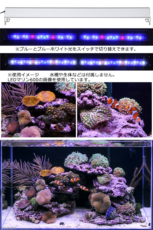 アクロ ＴＲＩＡＮＧＬＥ ＬＥＤ 沖縄別途送料 ２００００Ｋ サンゴ 照明 海水魚 ＬＥＤ ９００ ＭＡＲＩＮＥ 関東当日便 水槽・アクアリウム 