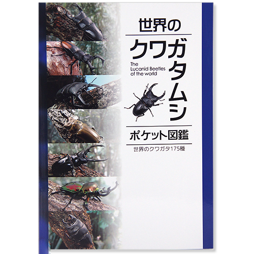 楽天市場 世界のクワガタムシ ポケット図鑑 関東当日便 Charm 楽天市場店