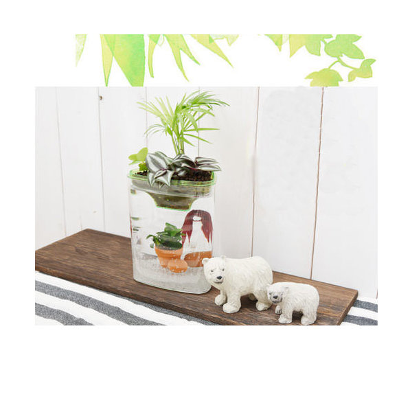 楽天市場 熱帯魚 水草 私のアクアリウム アクアテリア ｐ１１０ ベタ飼育セット 生体 植物 ヒーター付き おしゃれ水槽セット 本州四国限定 Charm 楽天市場店