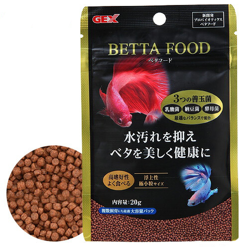 GLASIA ベタ水槽 BA-600 60cm水槽 プレココーポレーション GLASIA ベタ水槽 BA−600