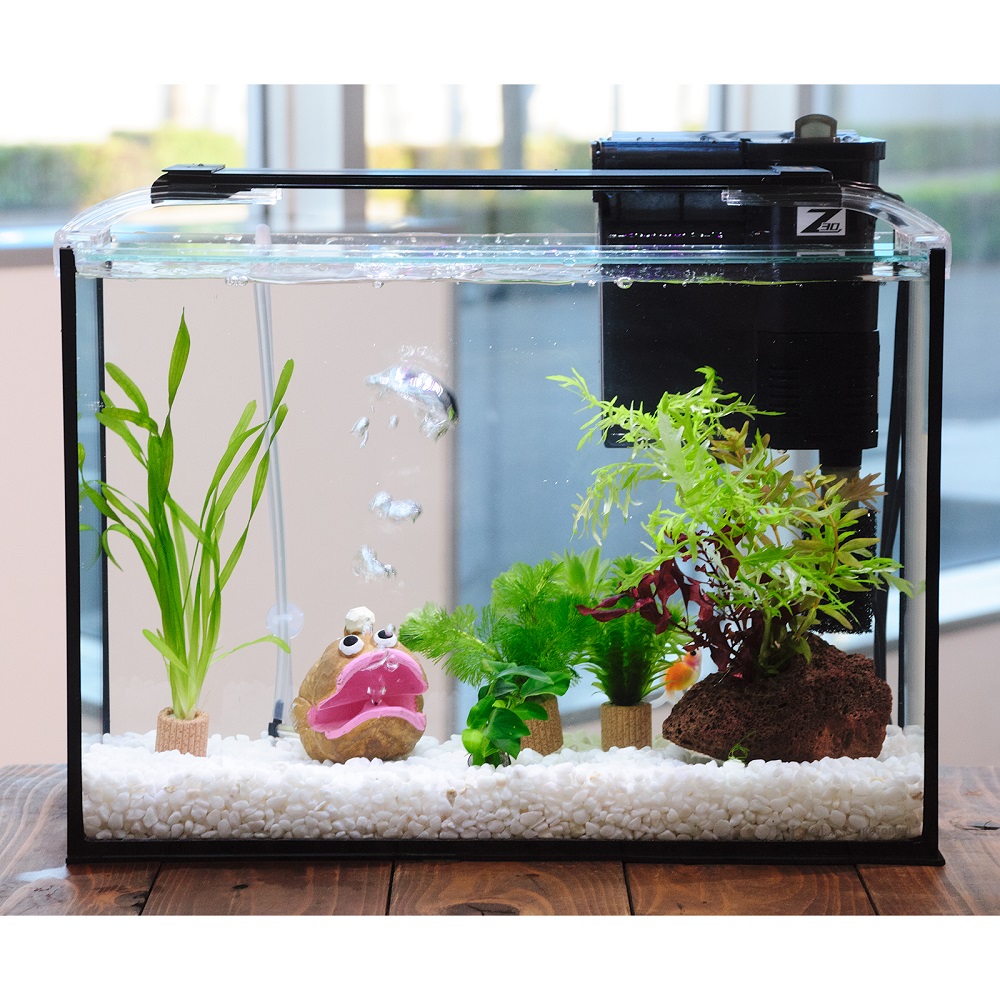 （国産金魚）（水草）簡単ピンポンパール飼育水草レイアウトセット　４０ｃｍ水槽　アンコウｖｅｒ．　本州四国限定　関東当日便