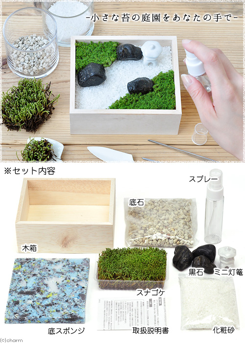 楽天市場 苔盆 １個 苔庭園手作り栽培キット Charm 楽天市場店